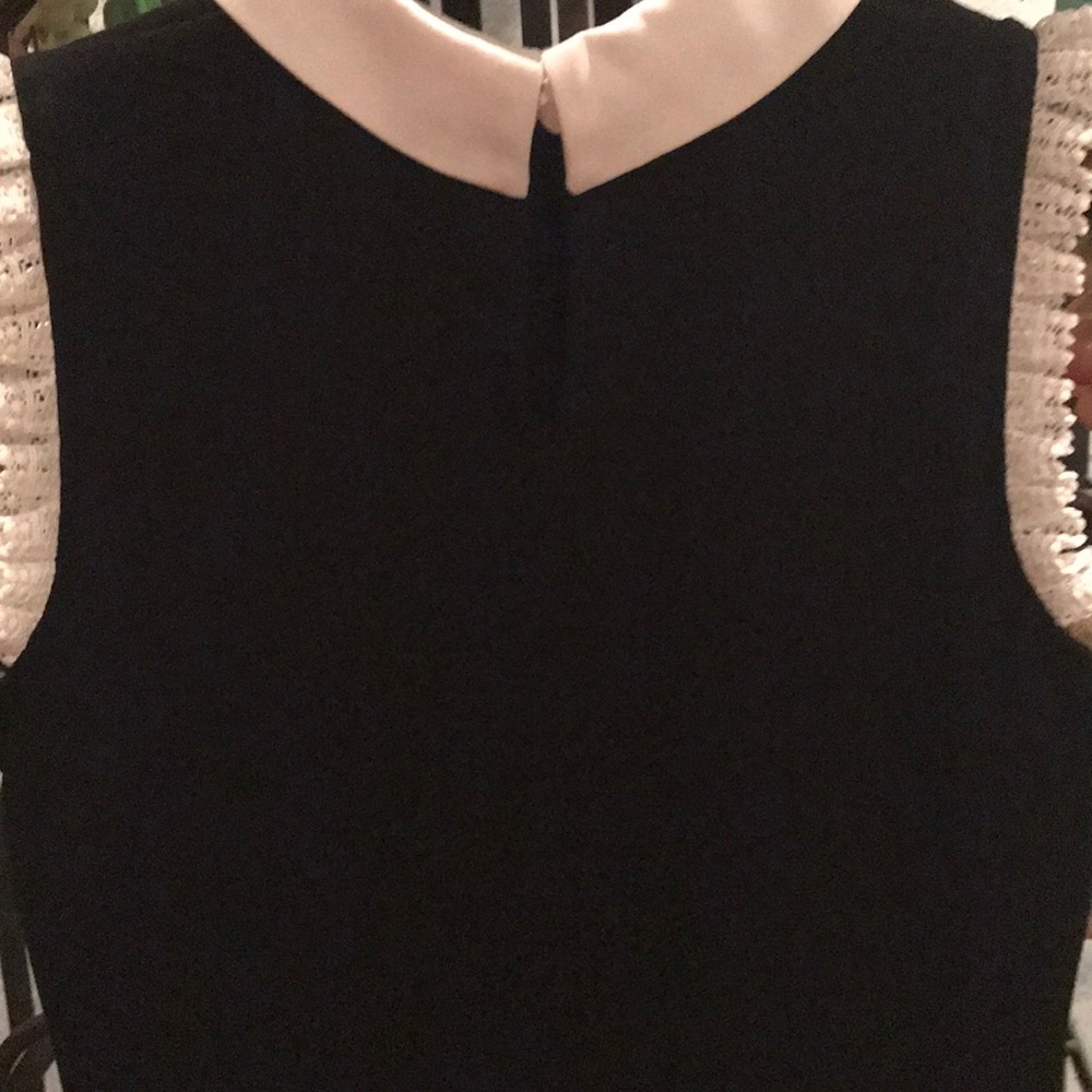 Gorgeous Dressy Peter Pan Collar Dress Shirt. - Picture 4 of 8